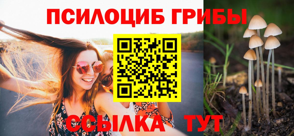Галлюциногенные грибы Magic Shrooms  Вход с VPN  наркотики  Тельмана 